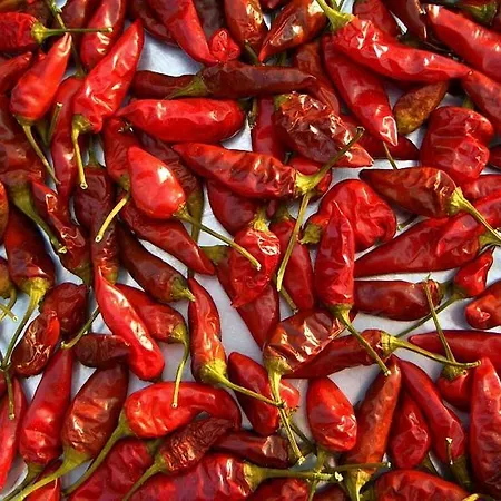 Lägenhet Reggio House Cost Per 4 Reggio di Calabria